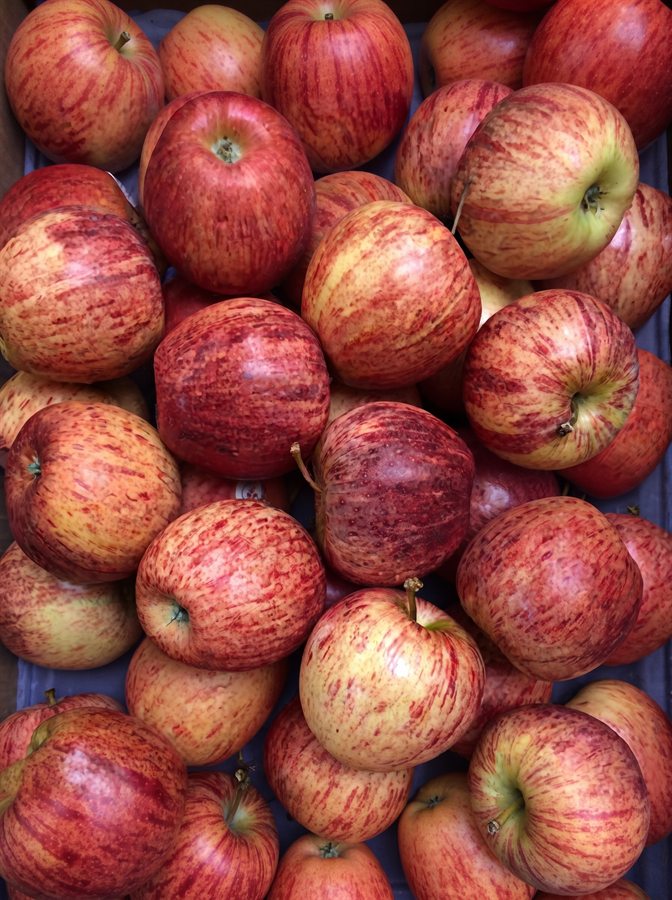 Frutas frescas clasificadas para distribución